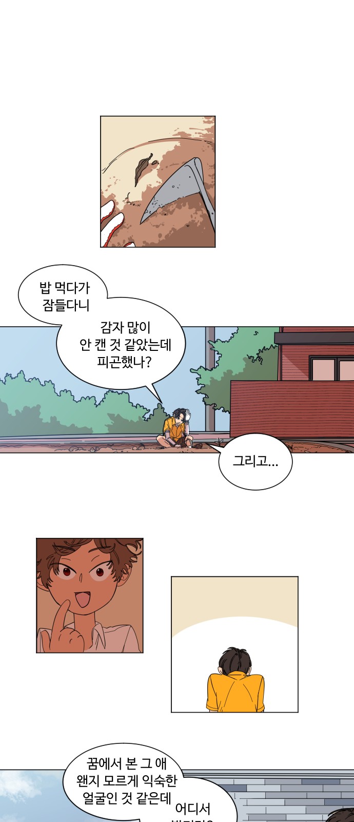 29 페이지