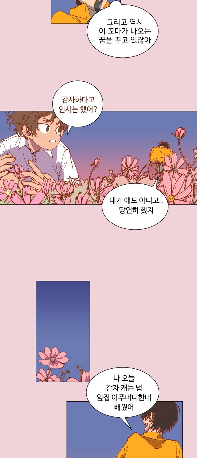 33 페이지