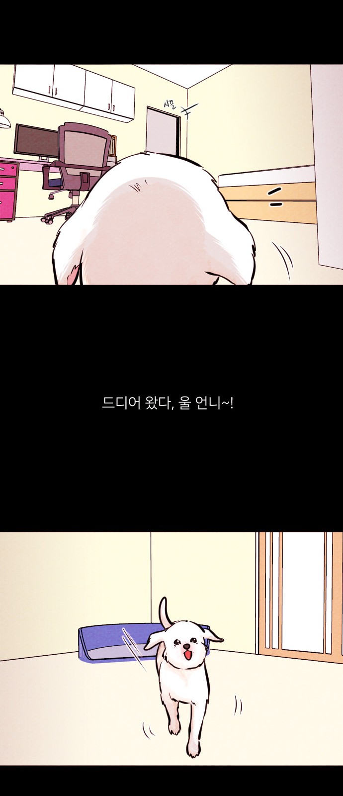 13 페이지