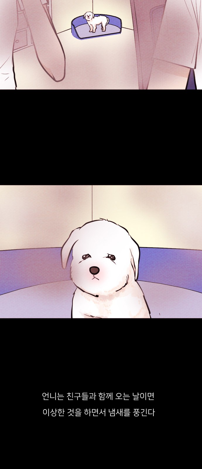 17 페이지