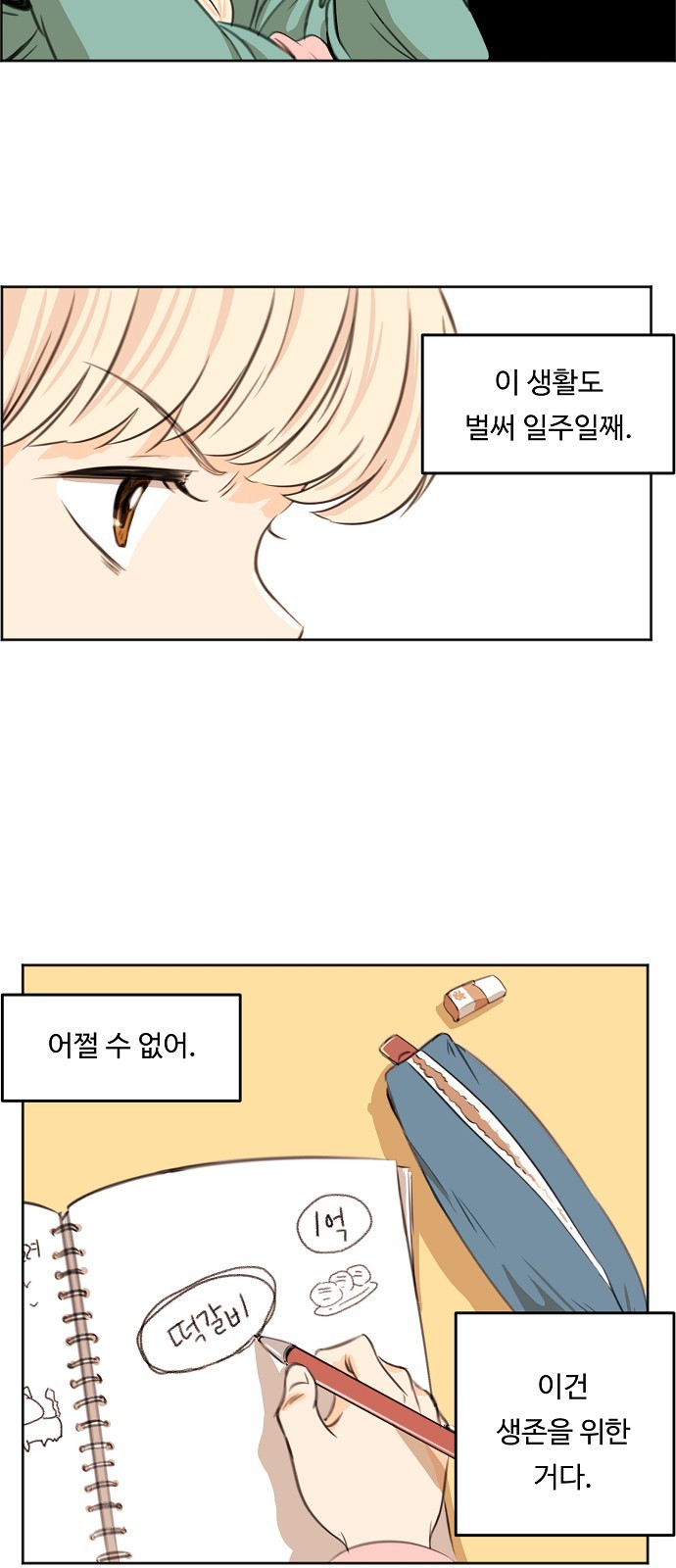 15 페이지
