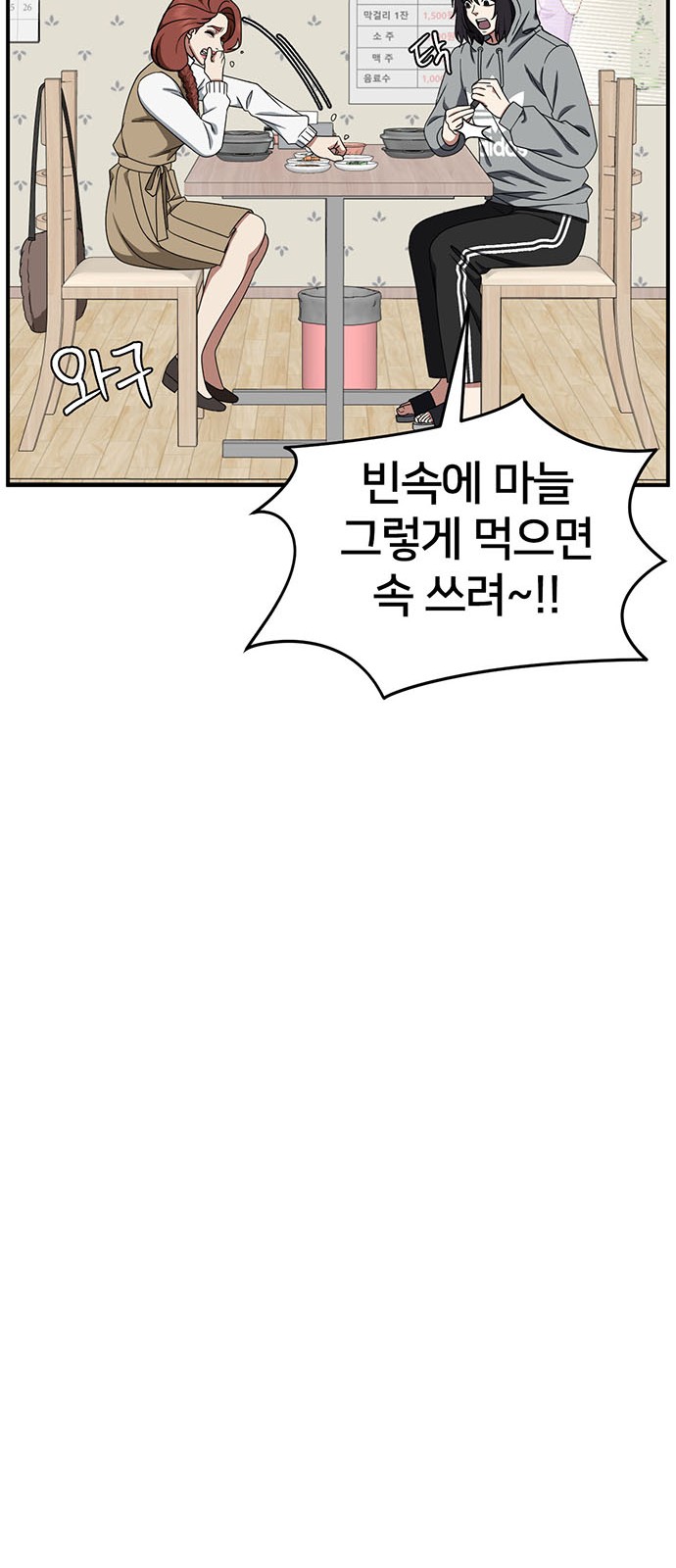 66 페이지