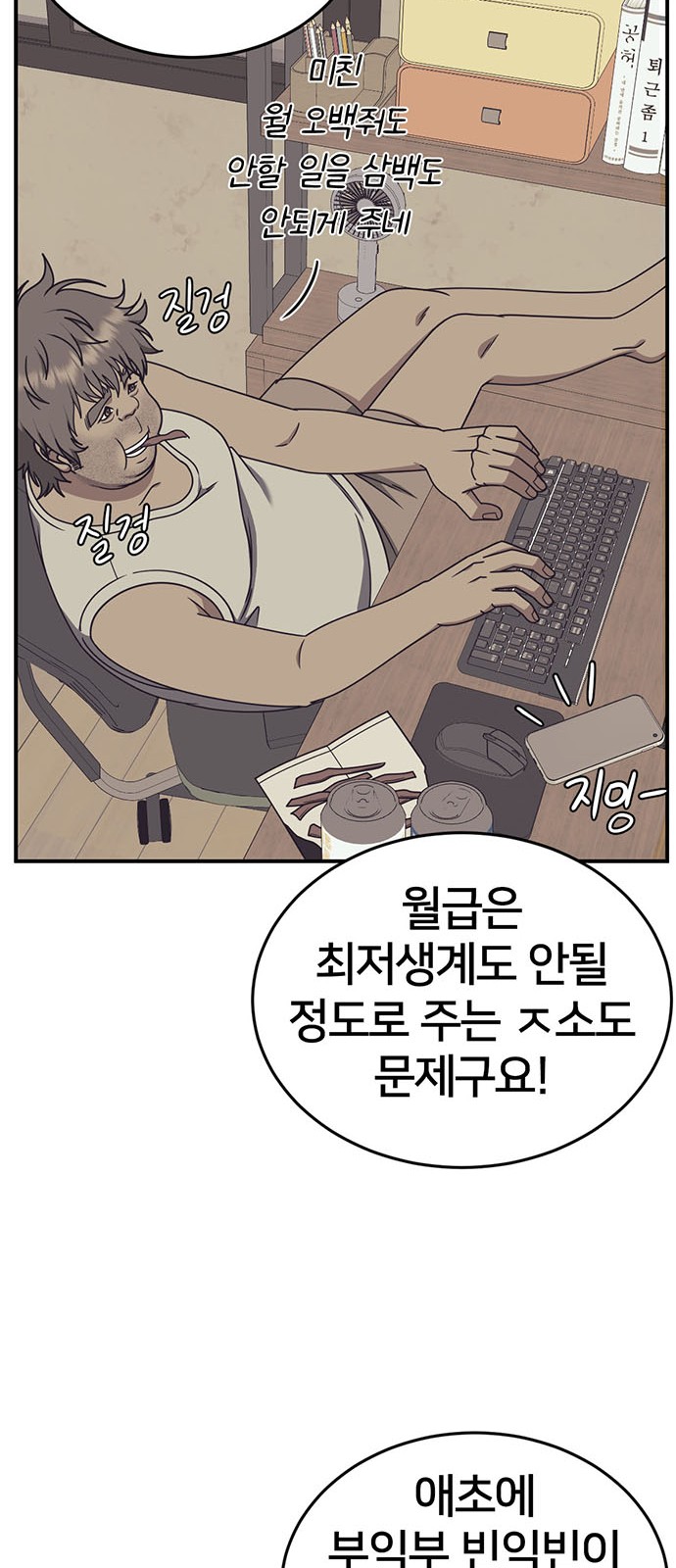 31 페이지