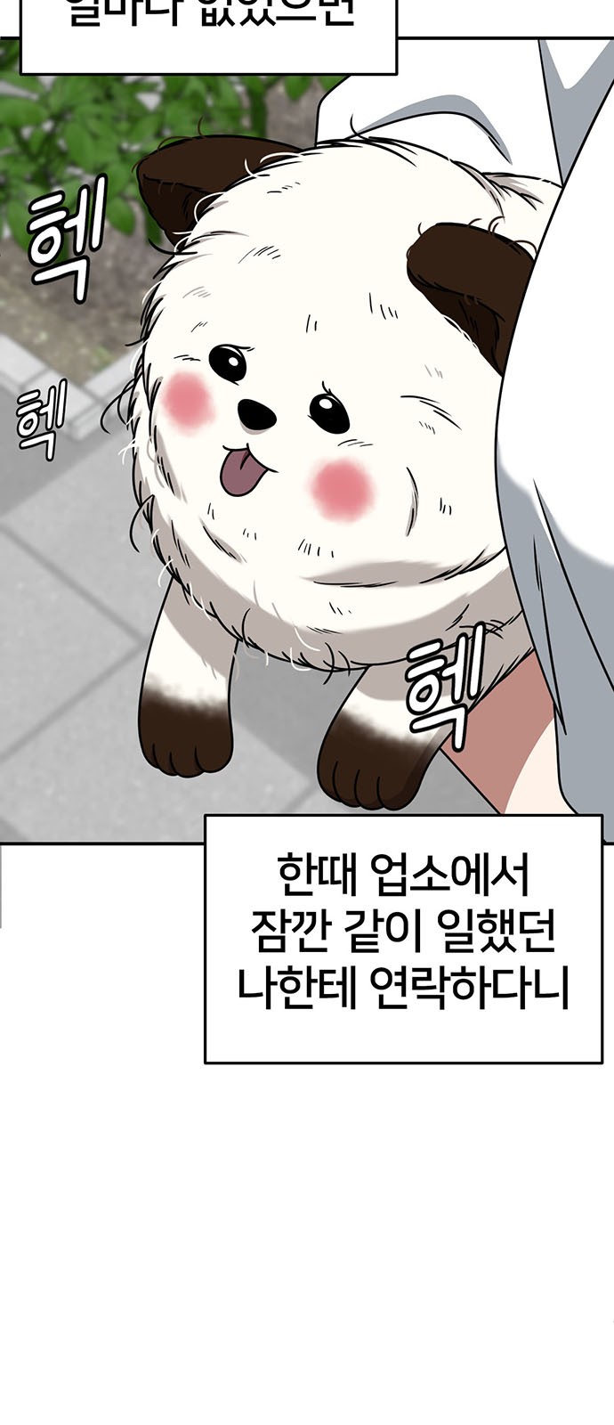 12 페이지