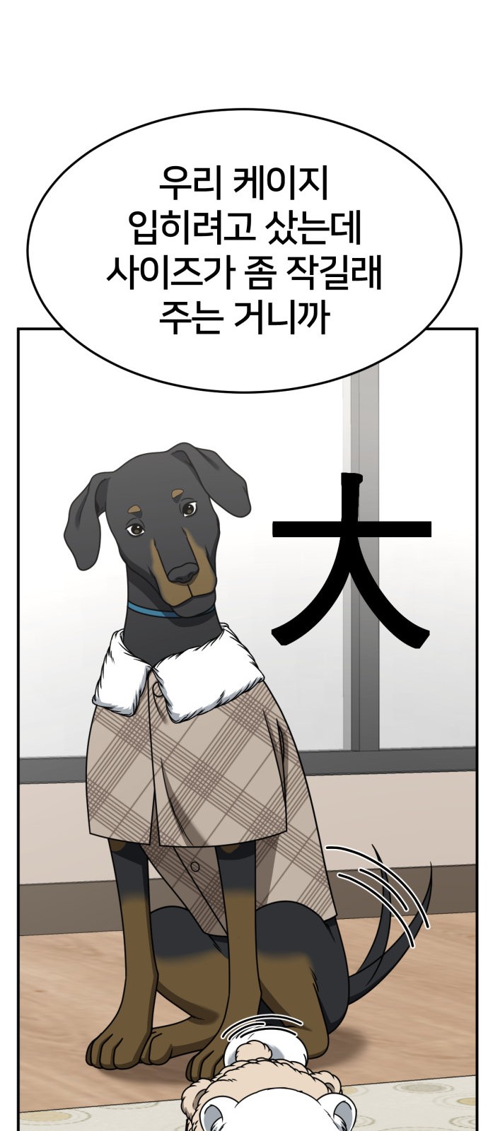 19 페이지