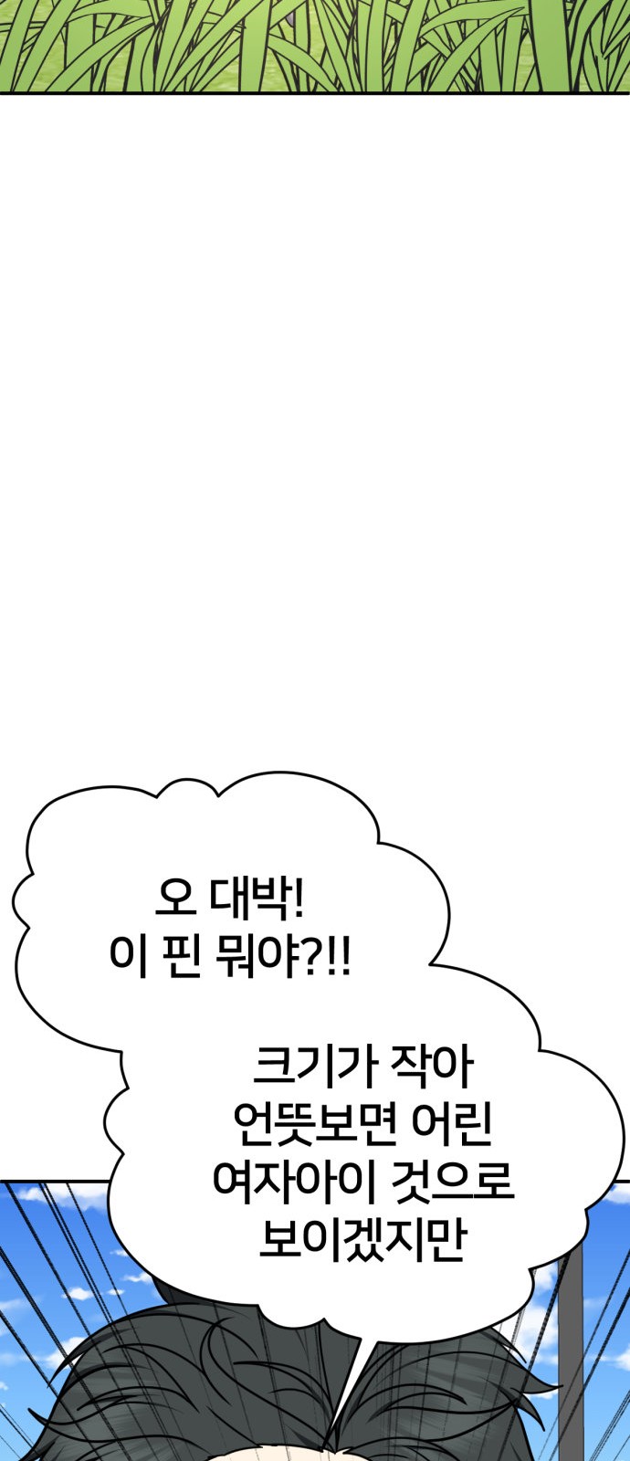 61 페이지