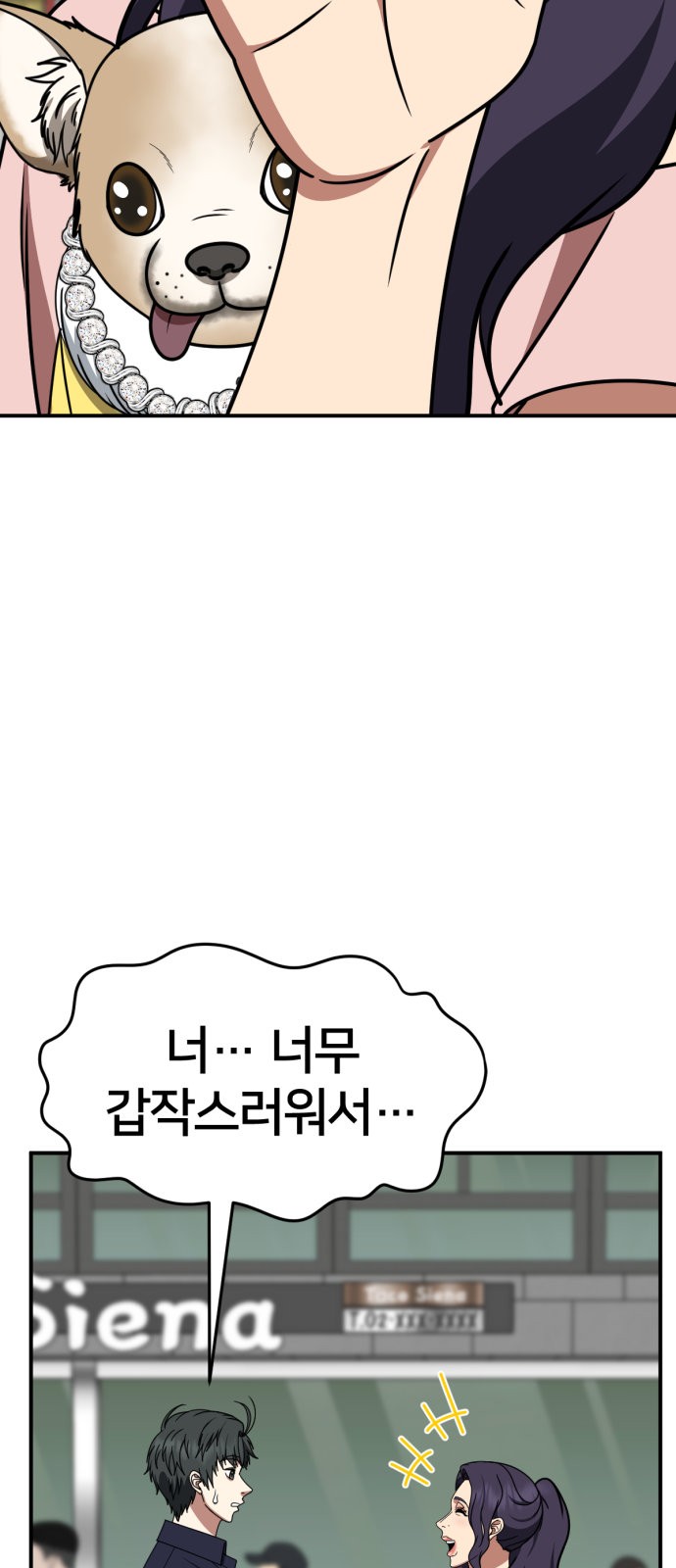 20 페이지