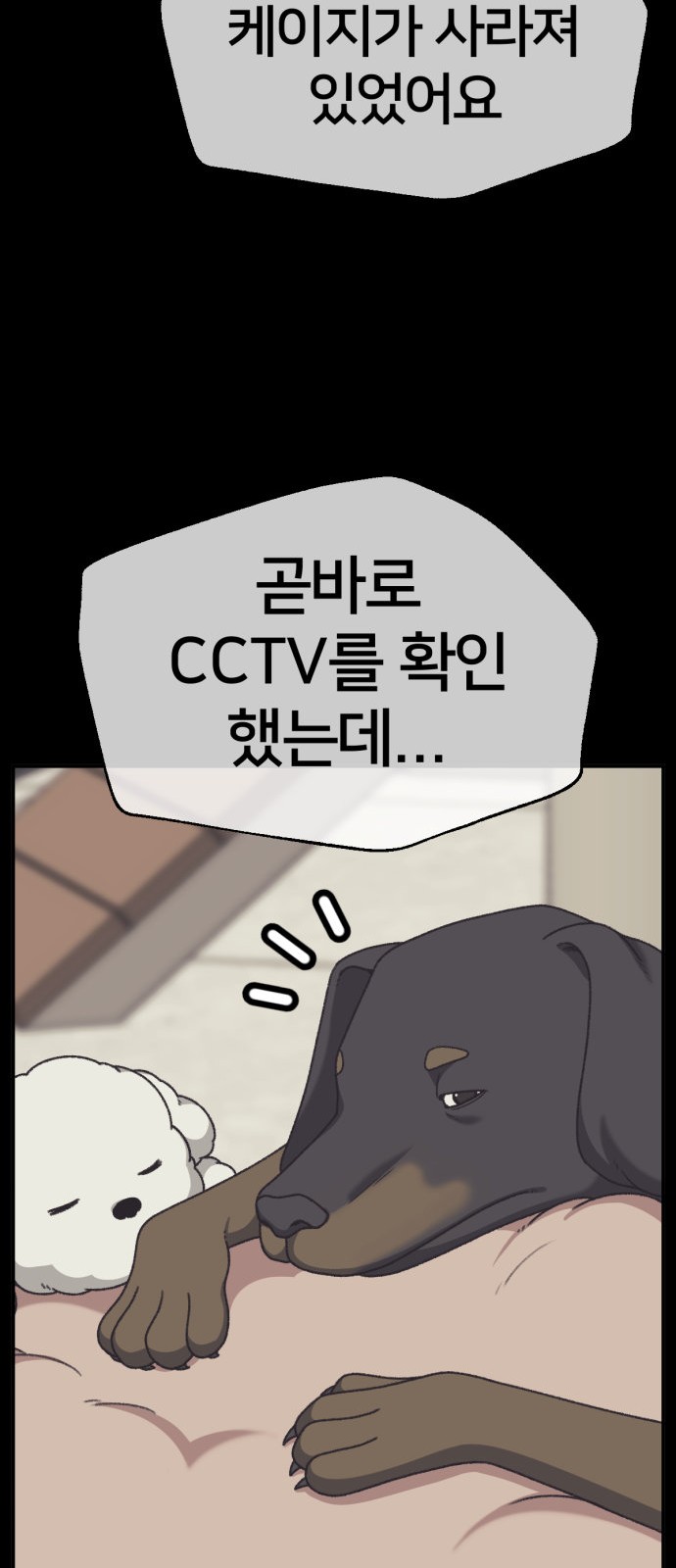 11 페이지