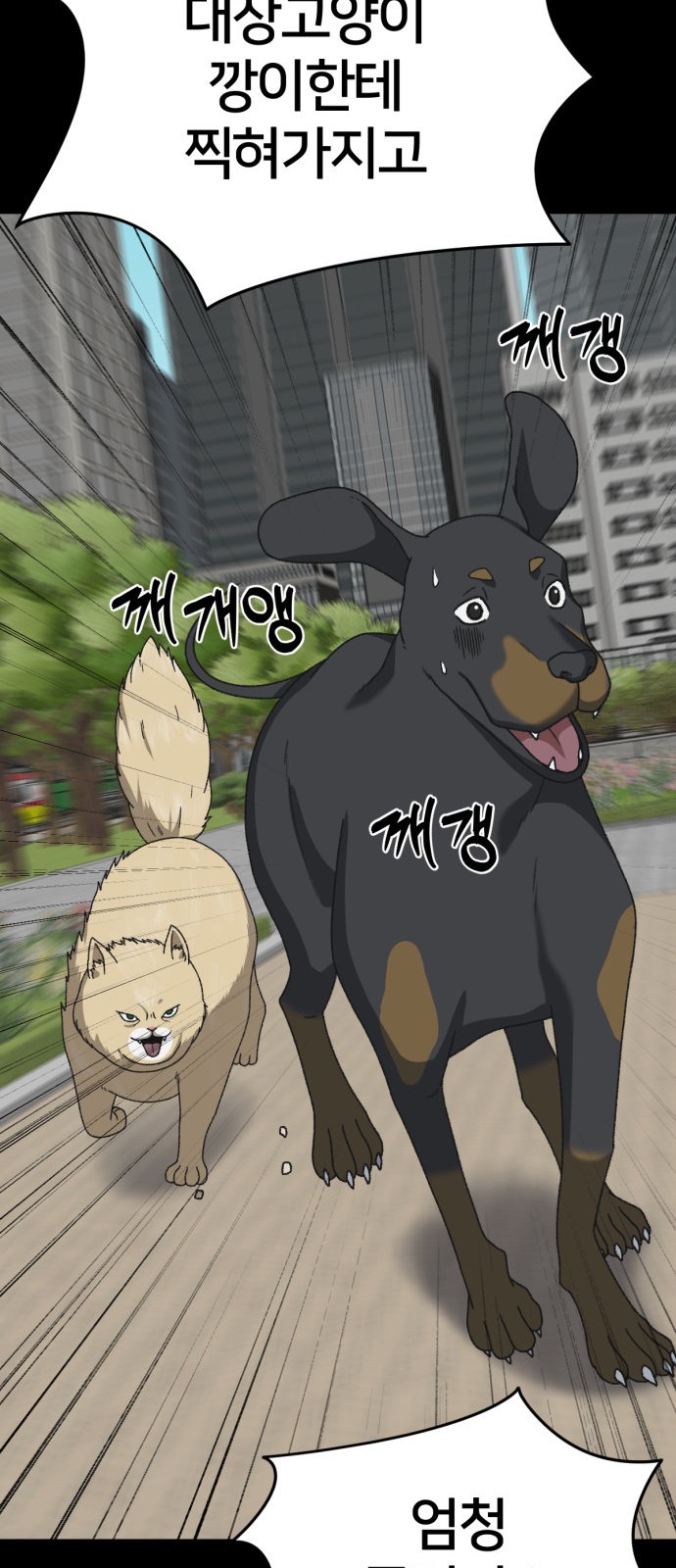51 페이지