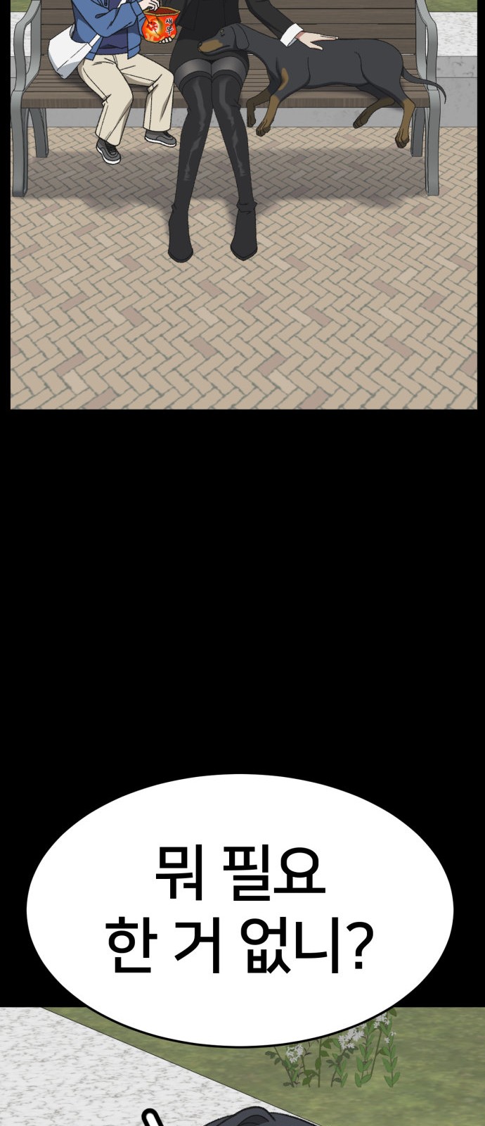 66 페이지