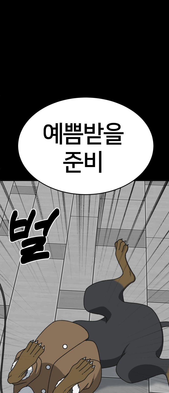 80 페이지