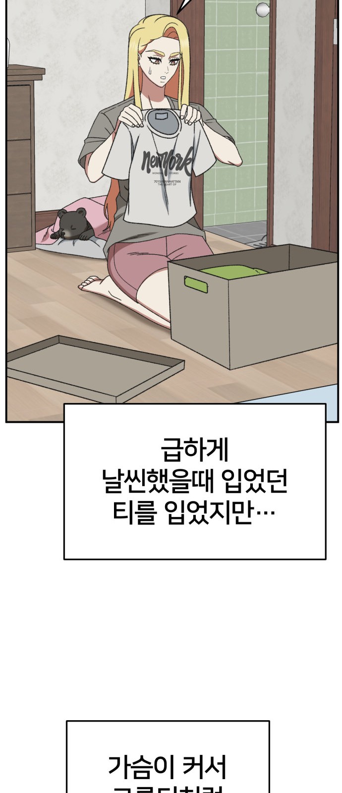 66 페이지