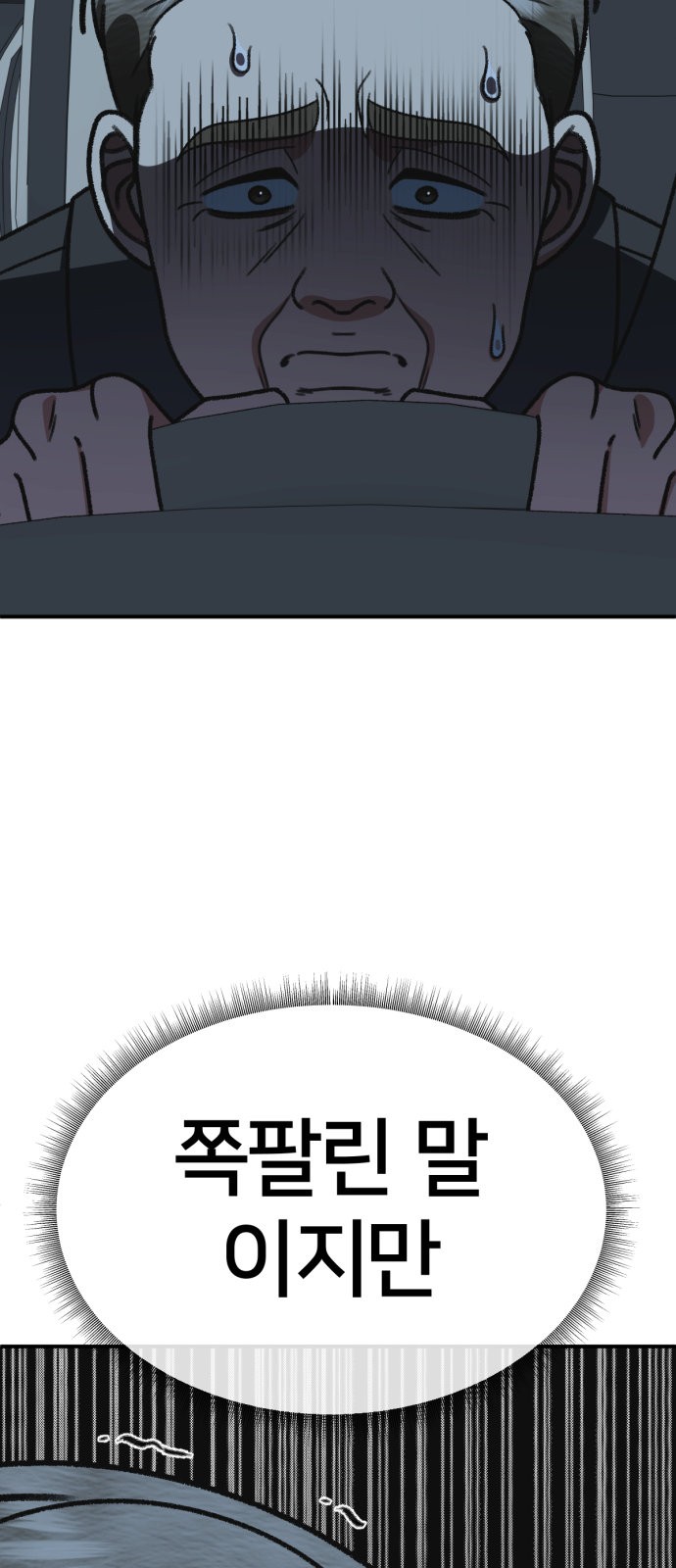 81 페이지