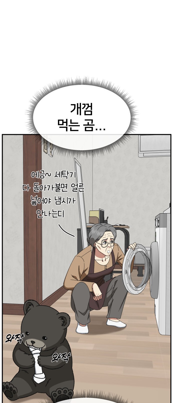13 페이지