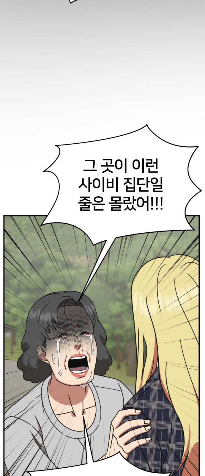 71 페이지