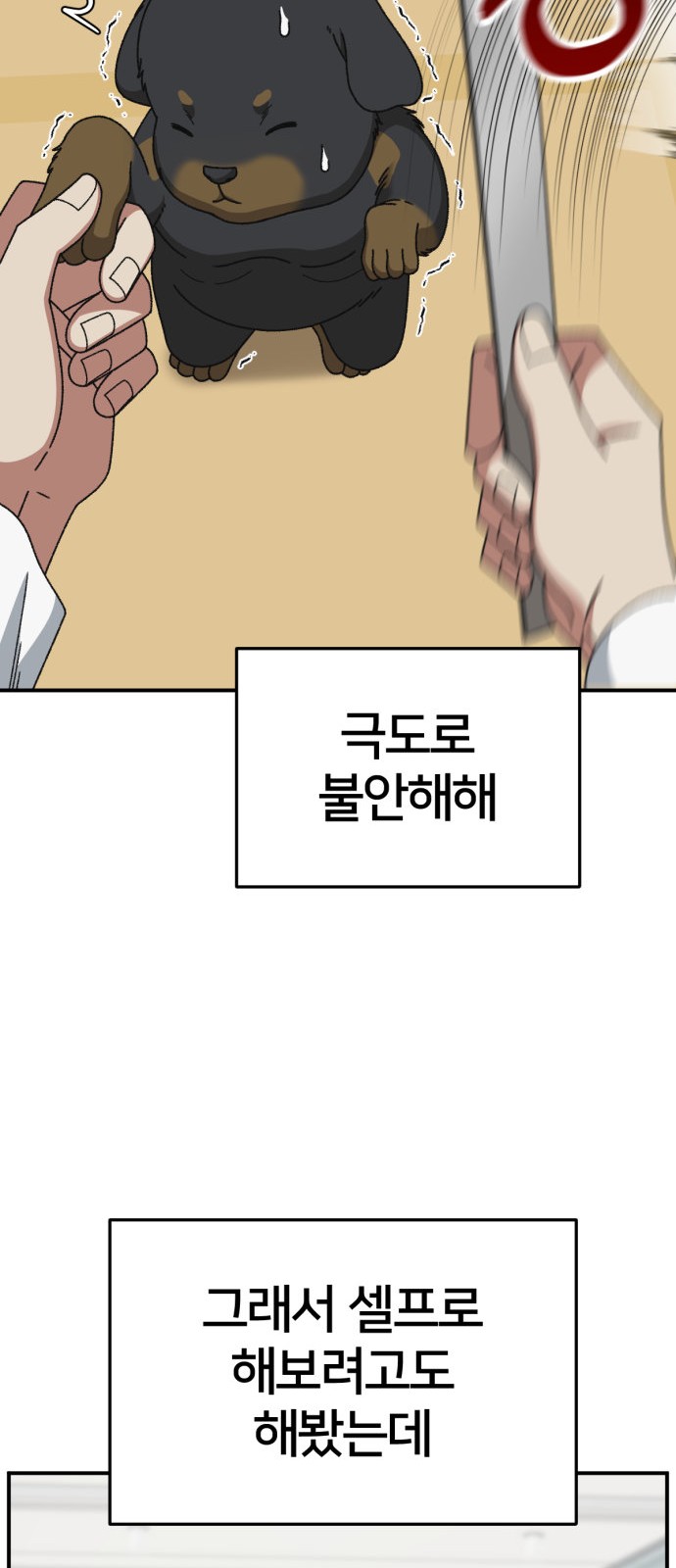 64 페이지