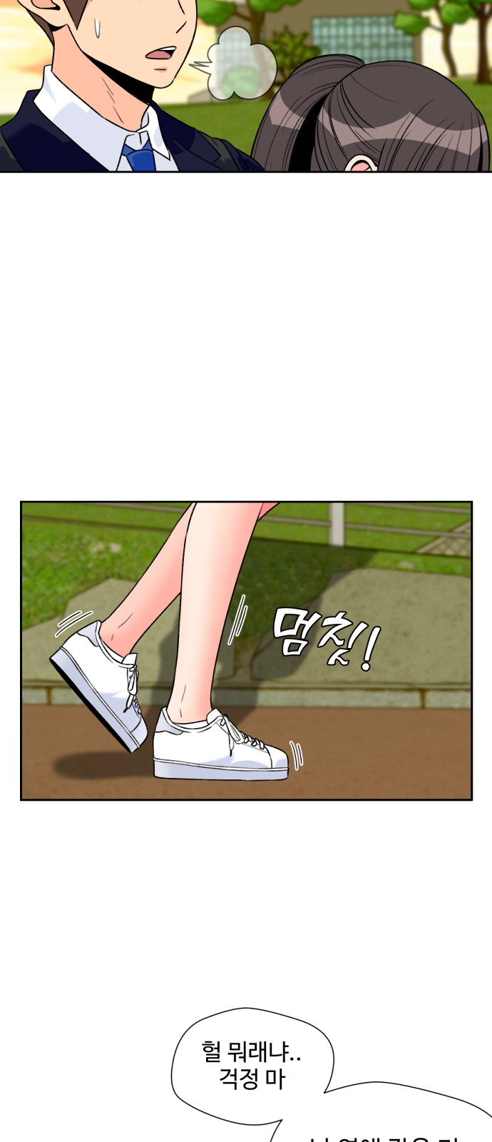 51 페이지