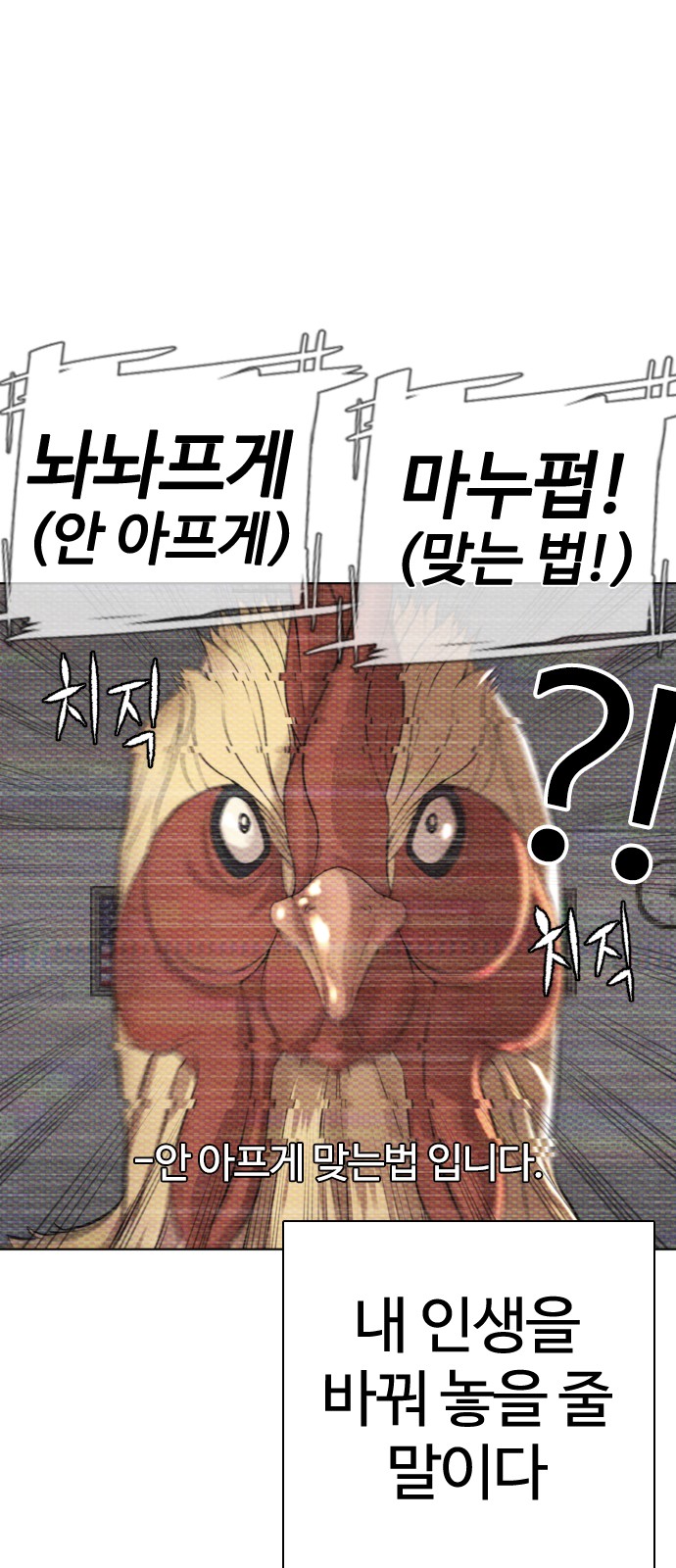 112 페이지