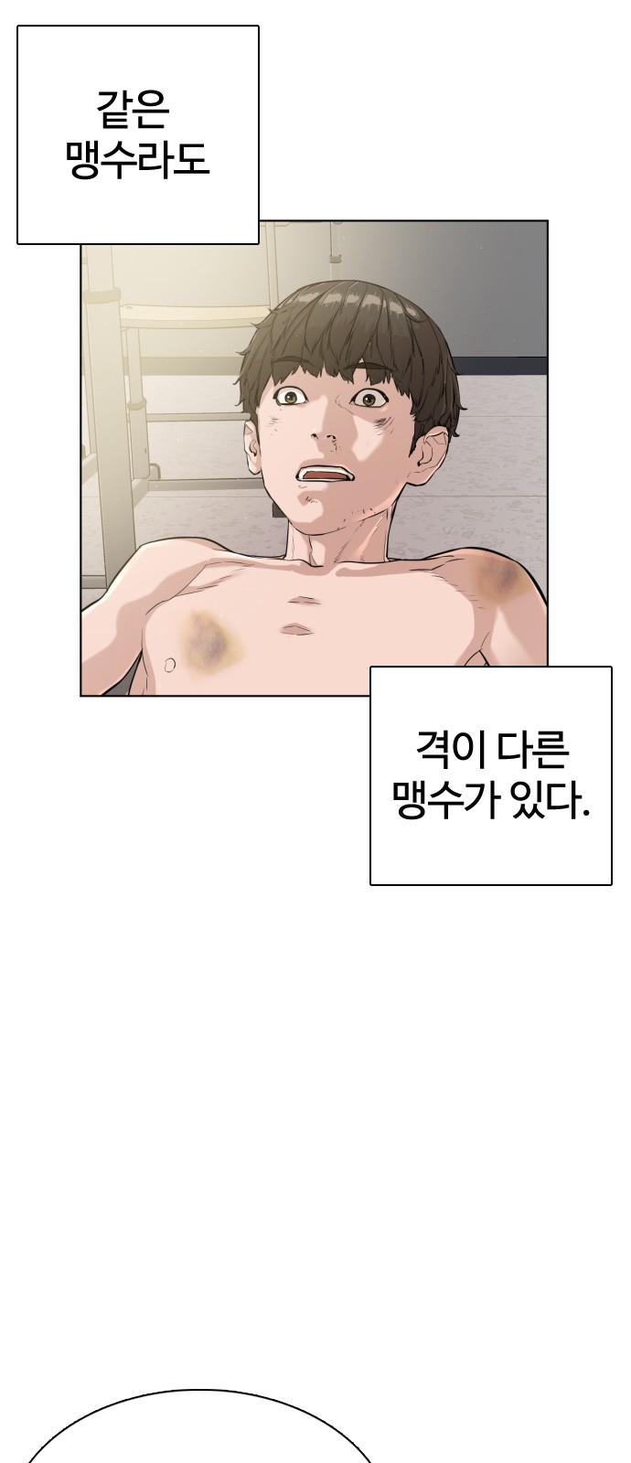 50 페이지
