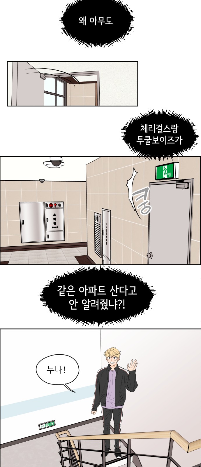 13 페이지
