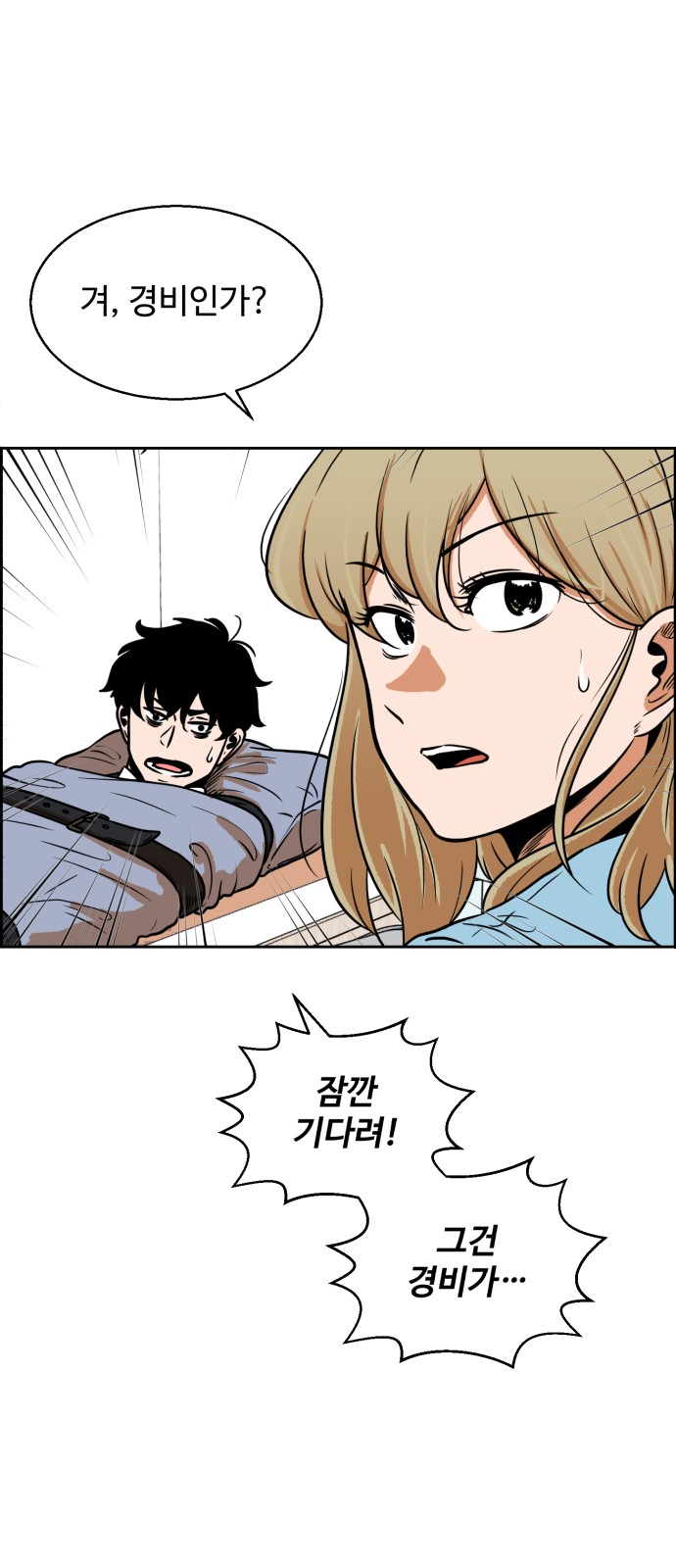 33 페이지