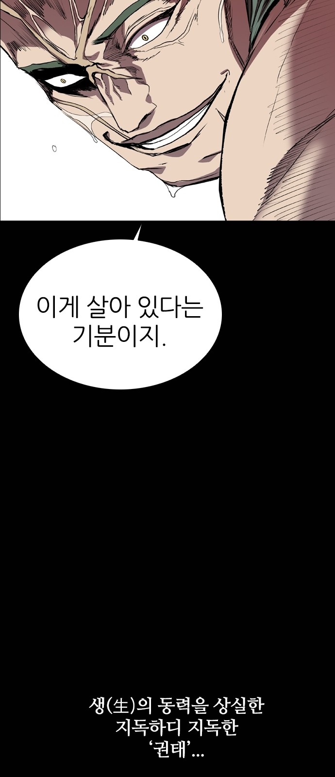 46 페이지