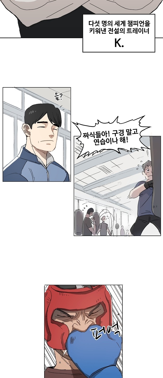 13 페이지