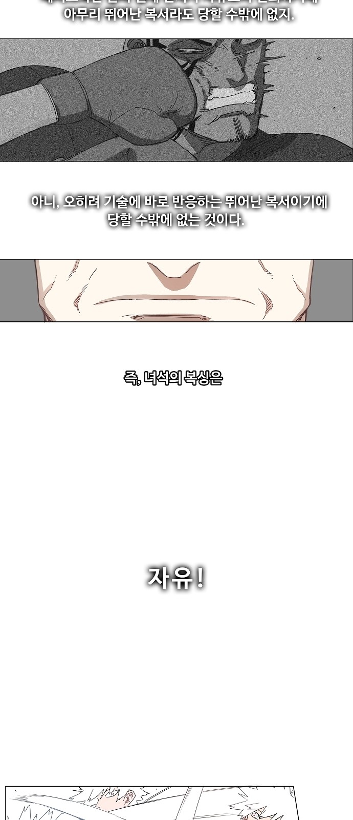 43 페이지