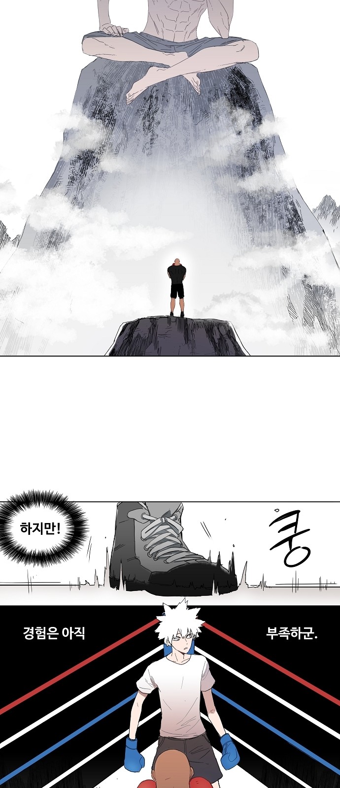 46 페이지