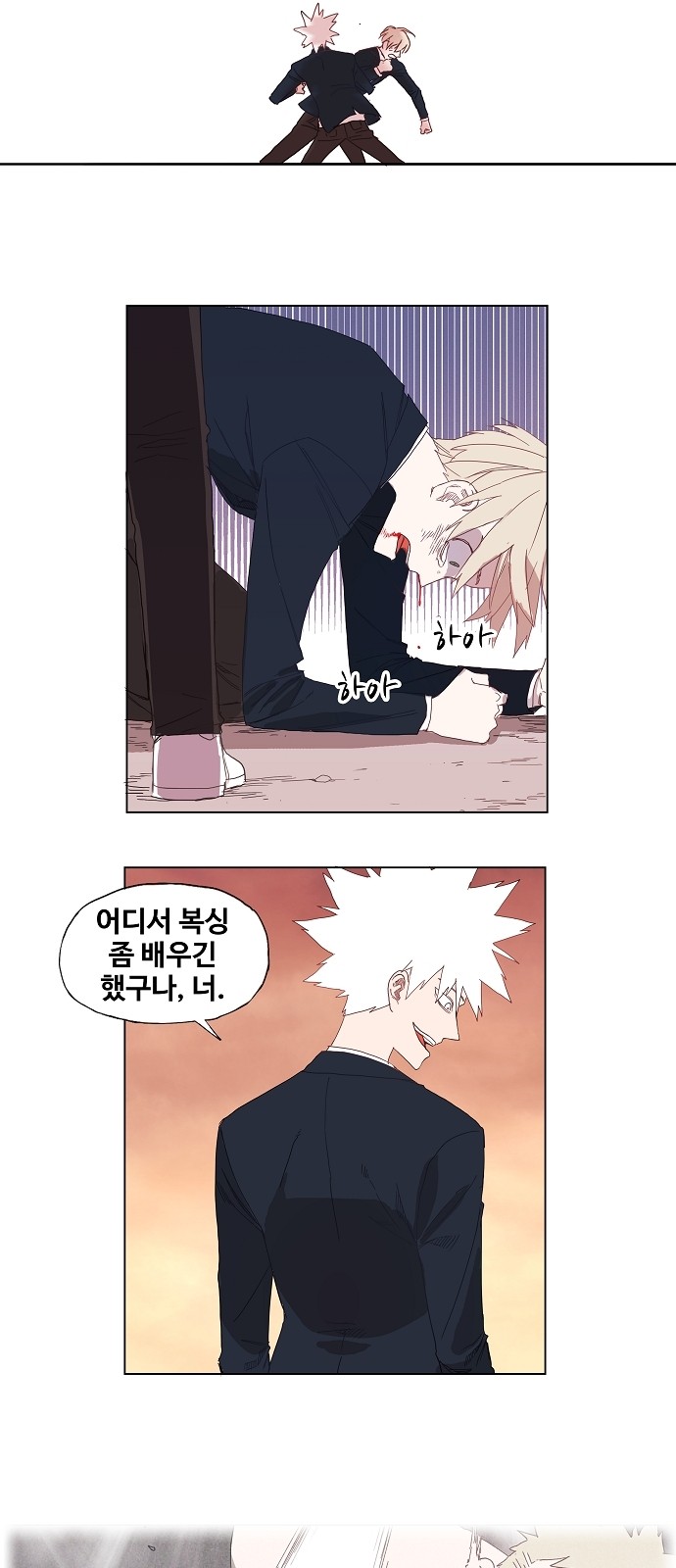 17 페이지