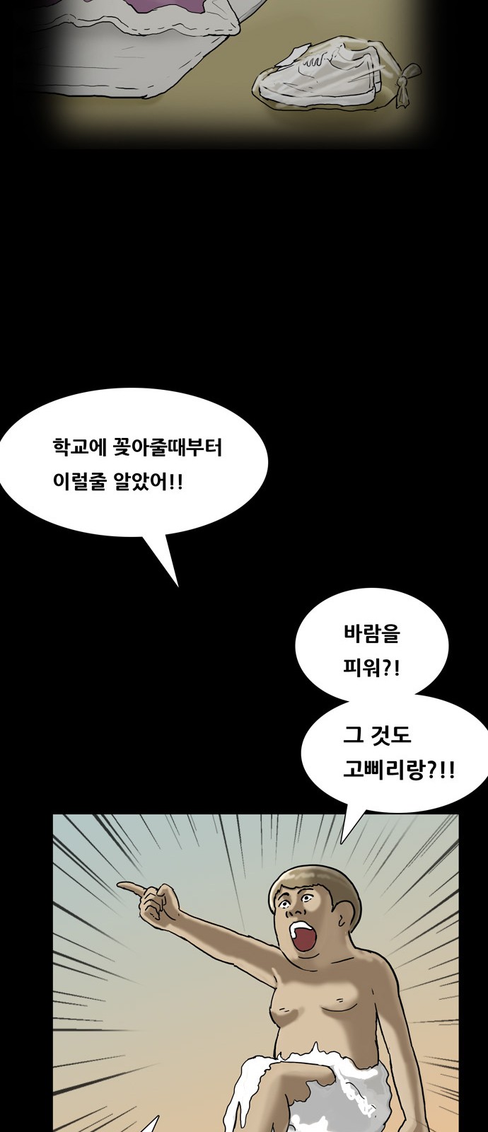 33 페이지