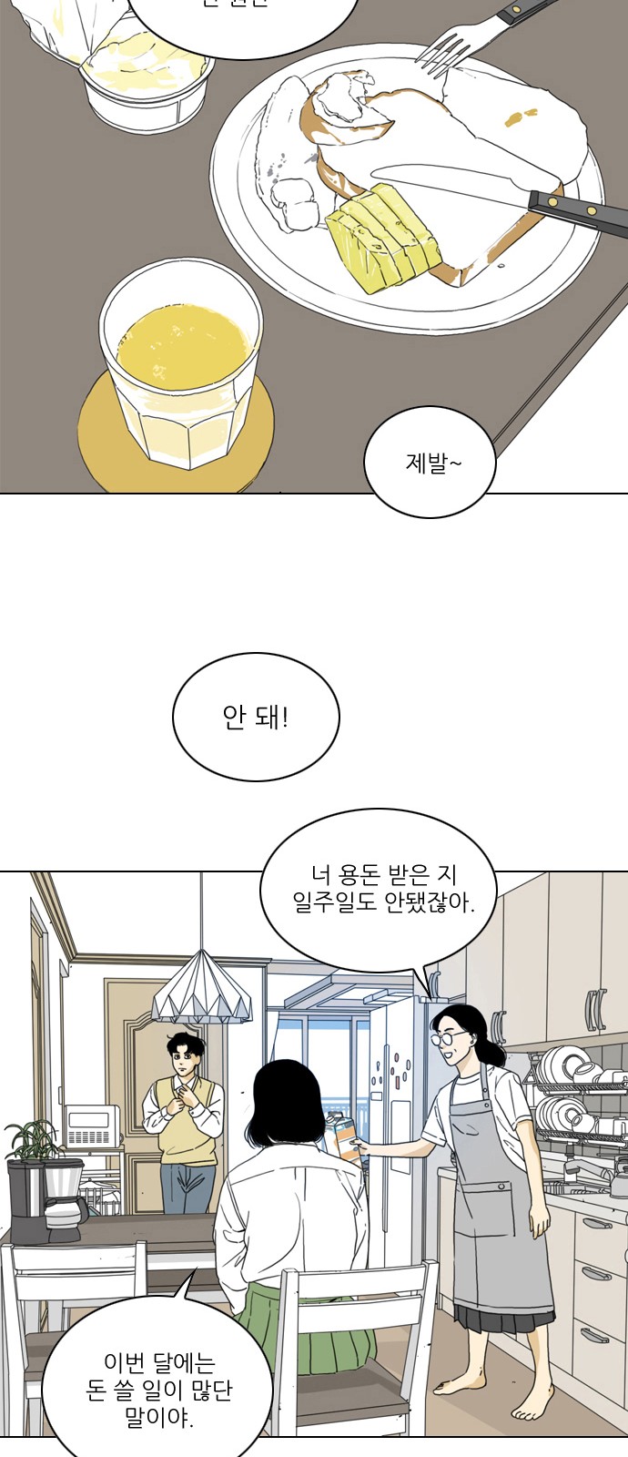 43 페이지