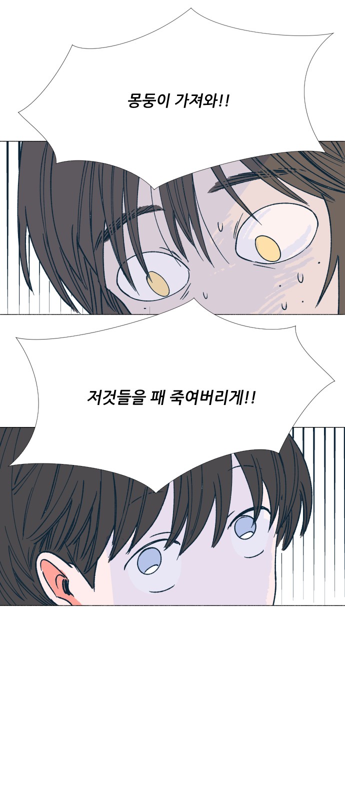 41 페이지