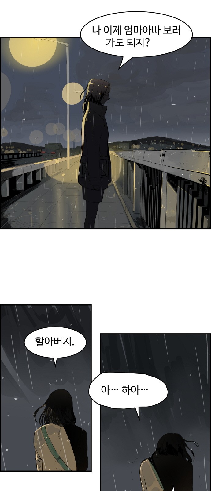 35 페이지