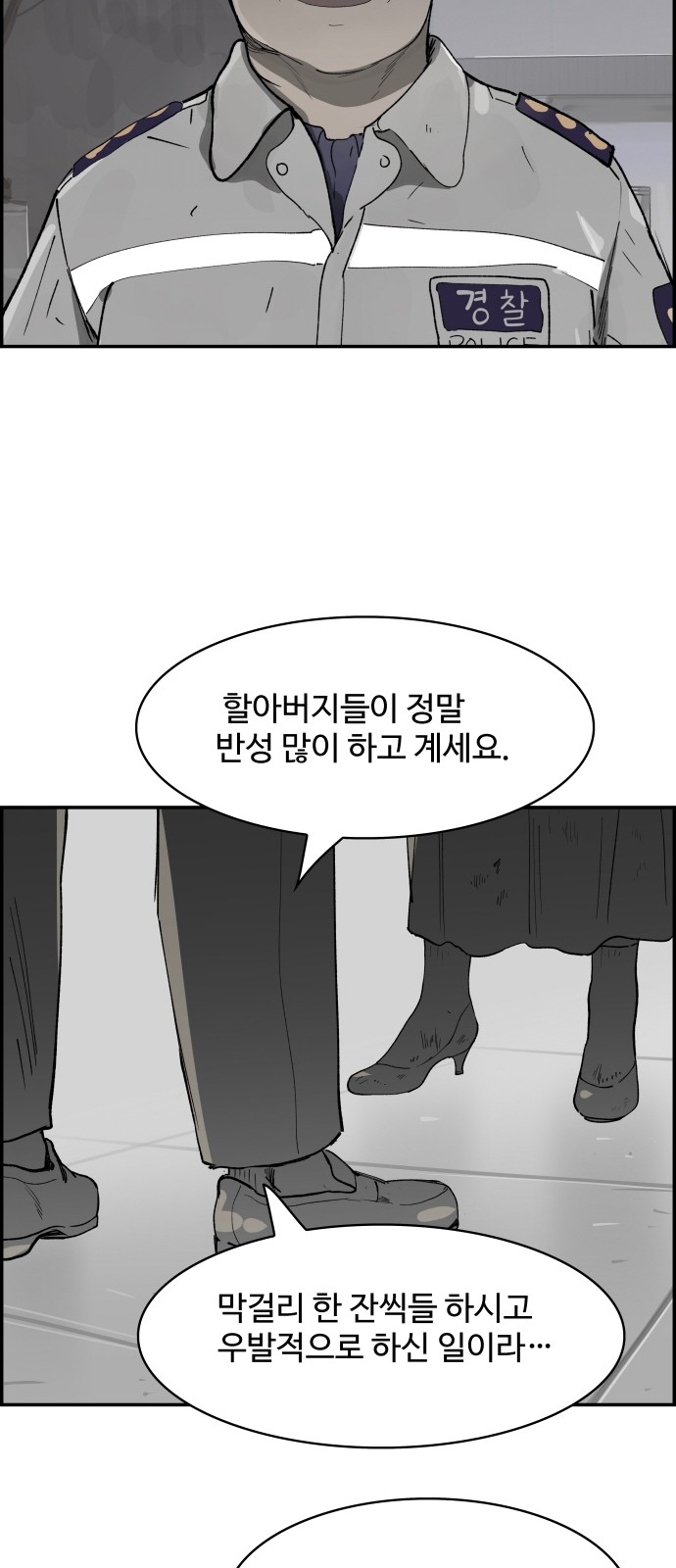 46 페이지