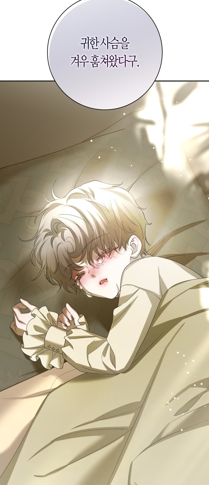 13 페이지
