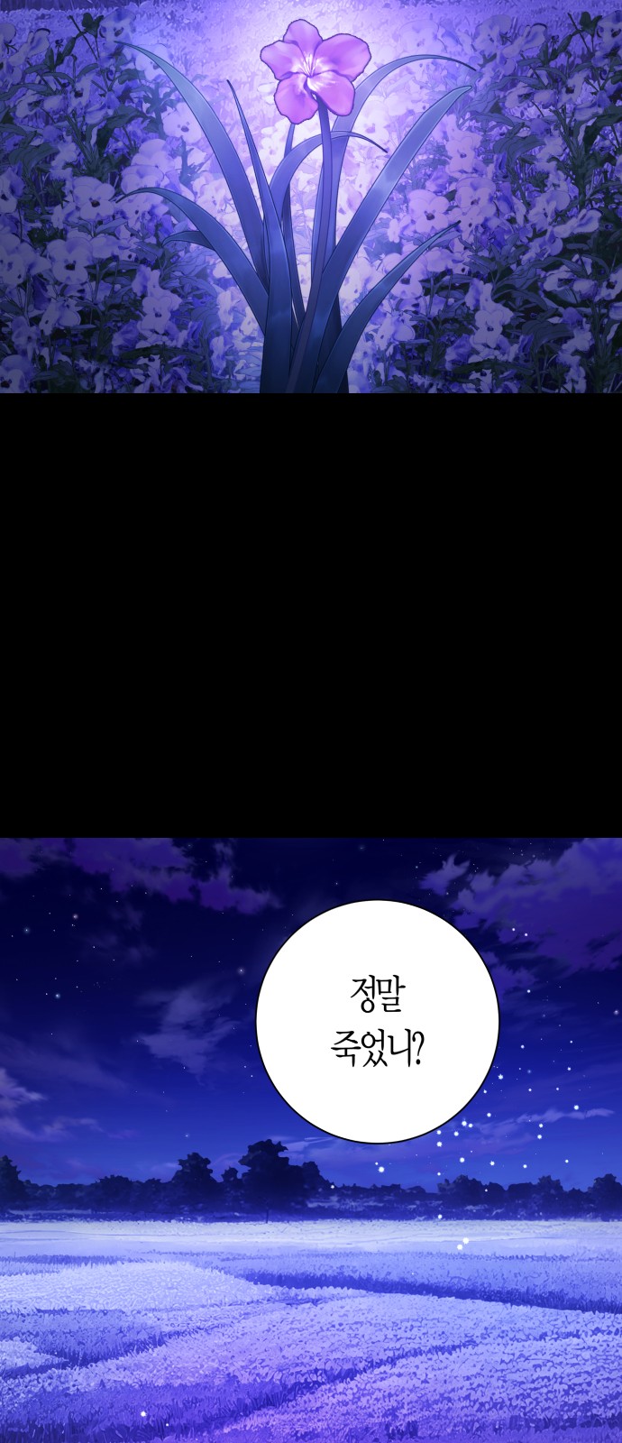 91 페이지