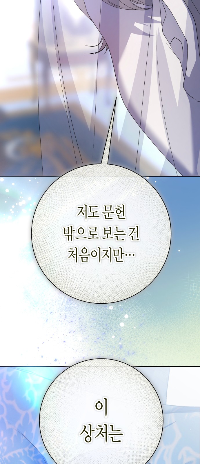 113 페이지
