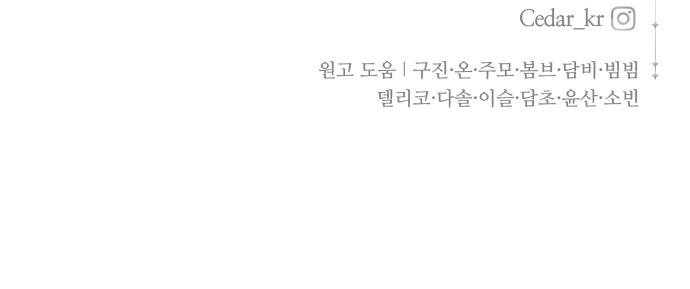 91 페이지