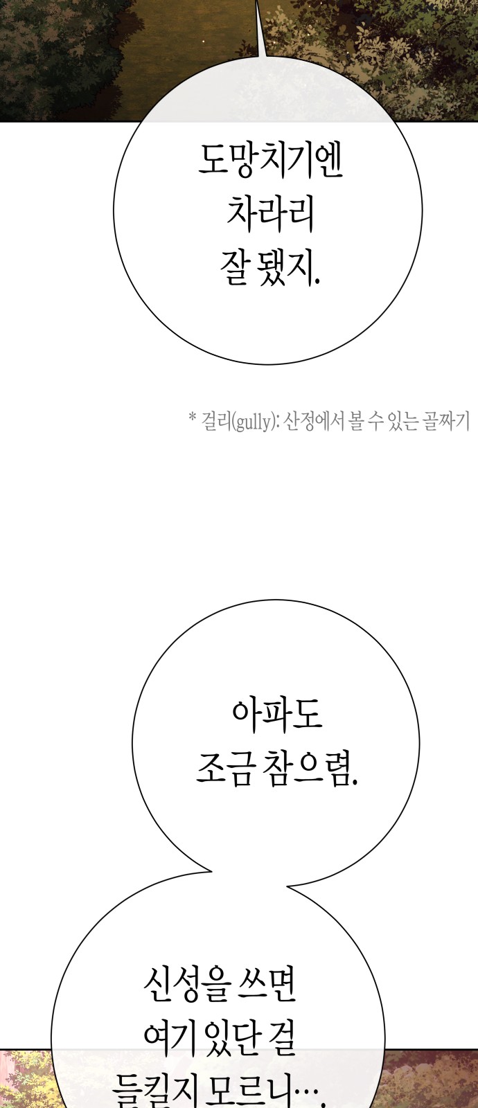 80 페이지