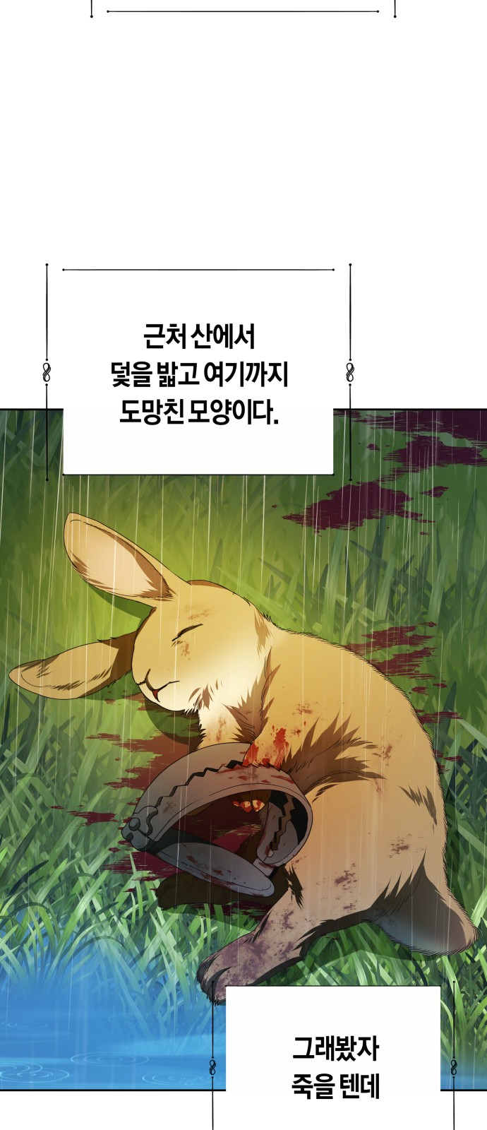 74 페이지