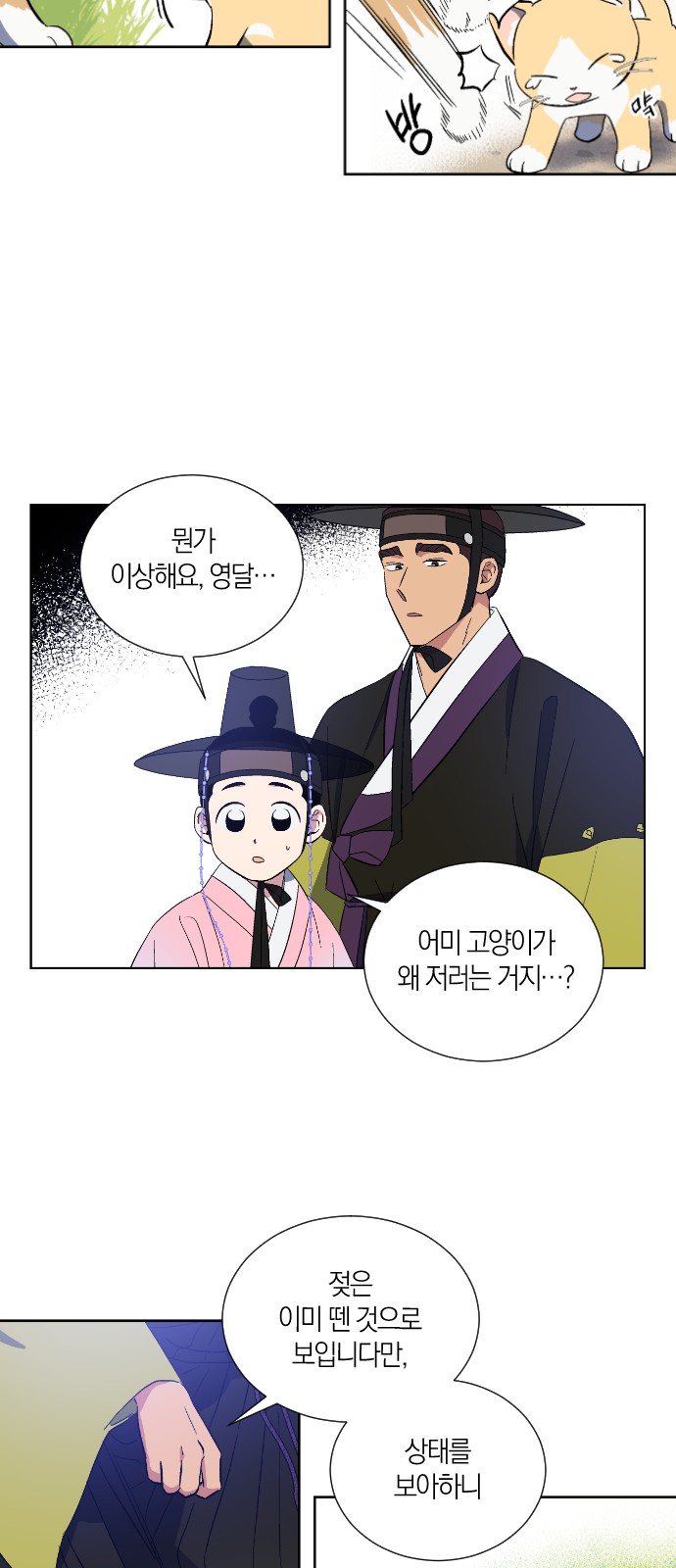 31 페이지