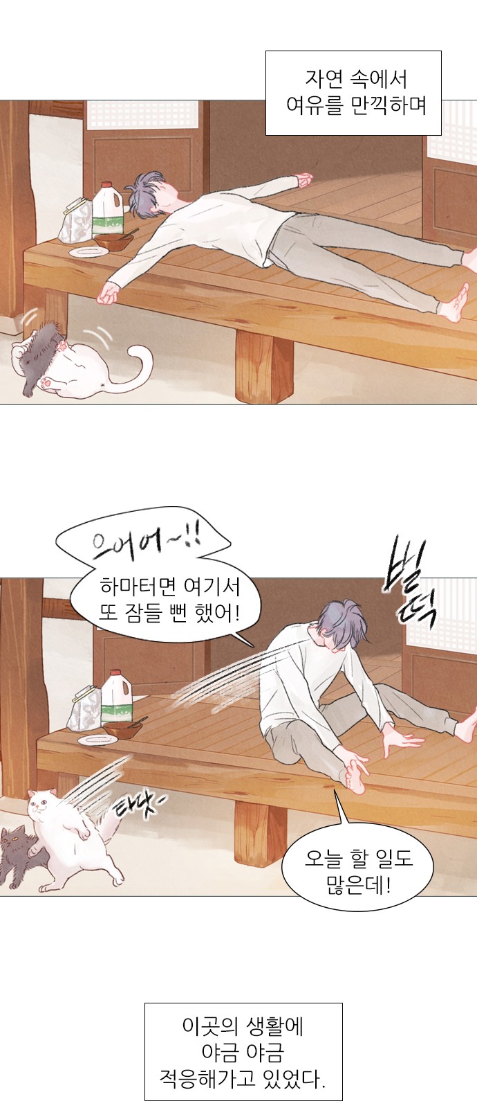 43 페이지