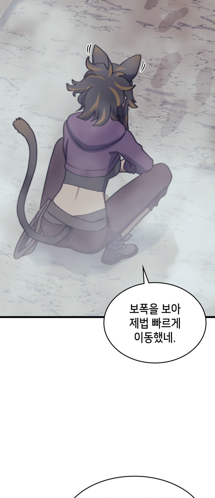 67 페이지