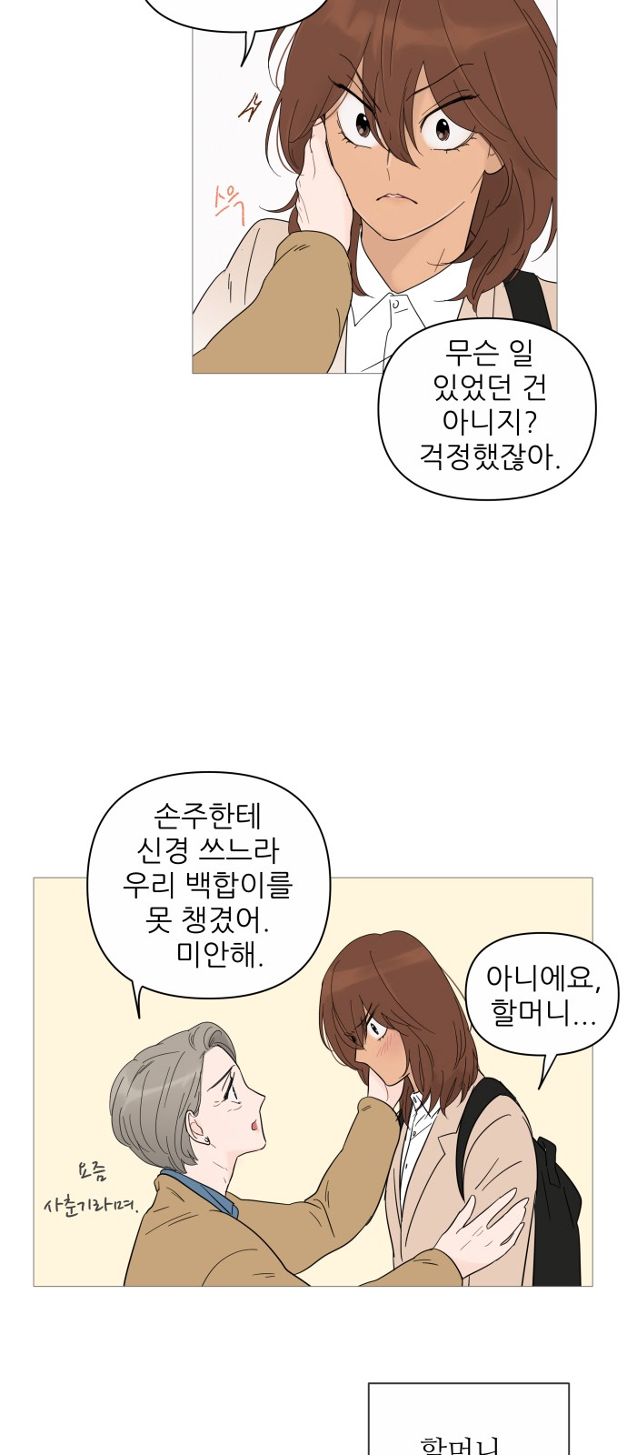 46 페이지