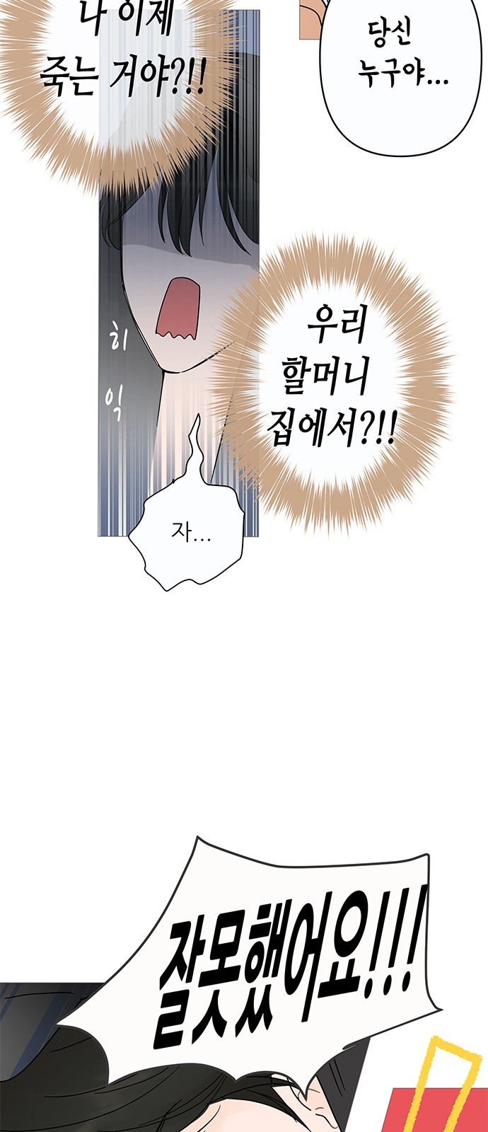 33 페이지
