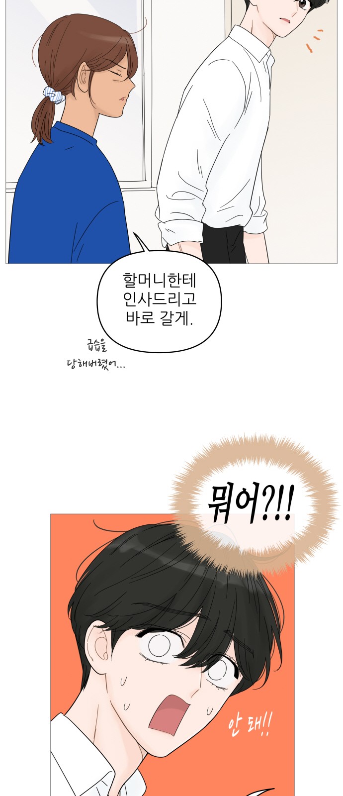 13 페이지