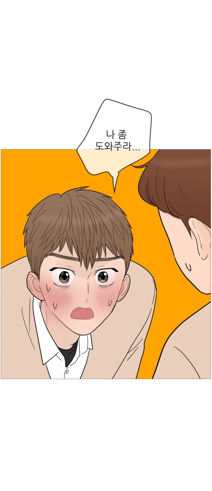29 페이지