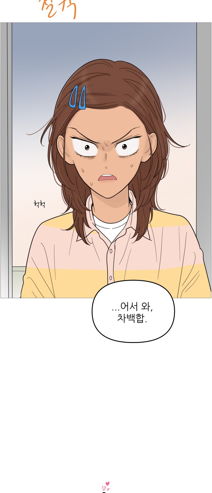 5 페이지