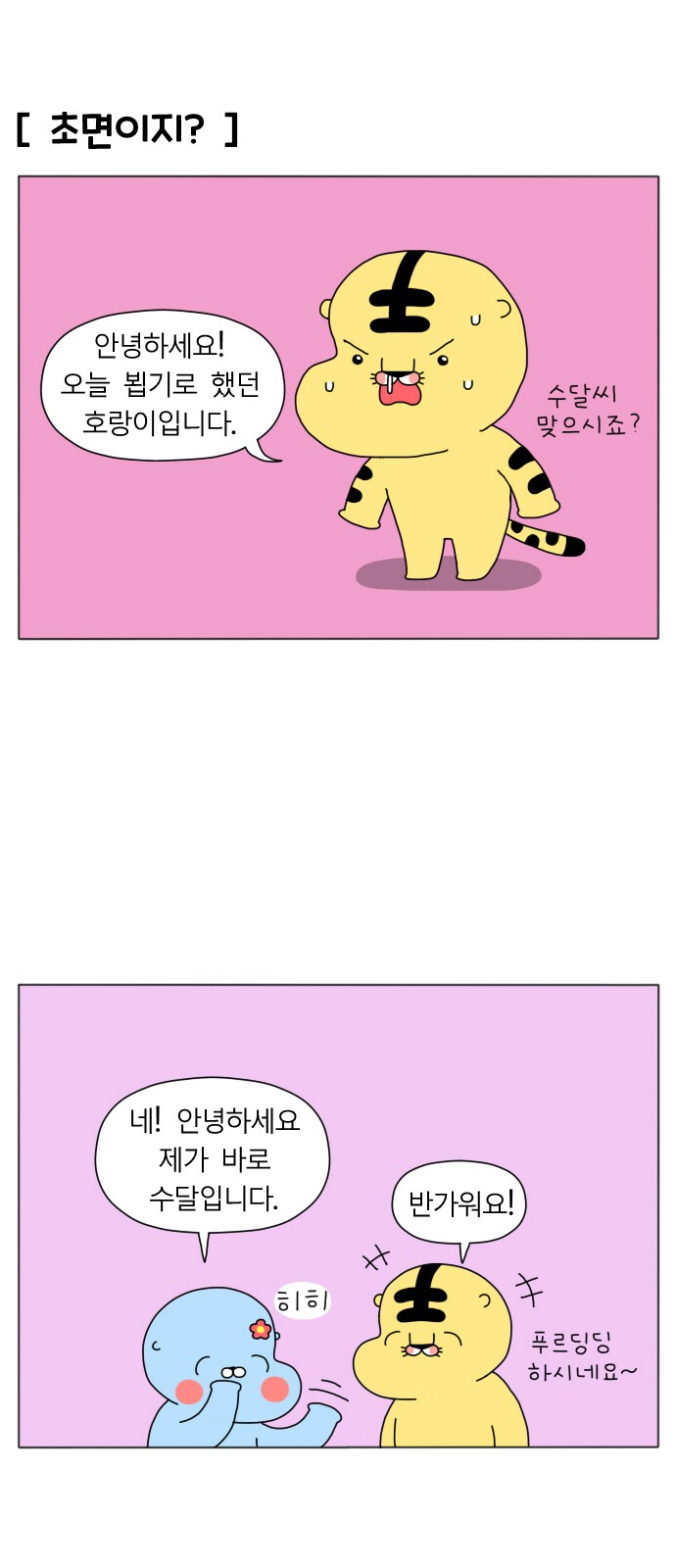 15 페이지